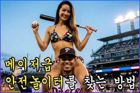 메이저급 안전놀이터를 찾는 방법